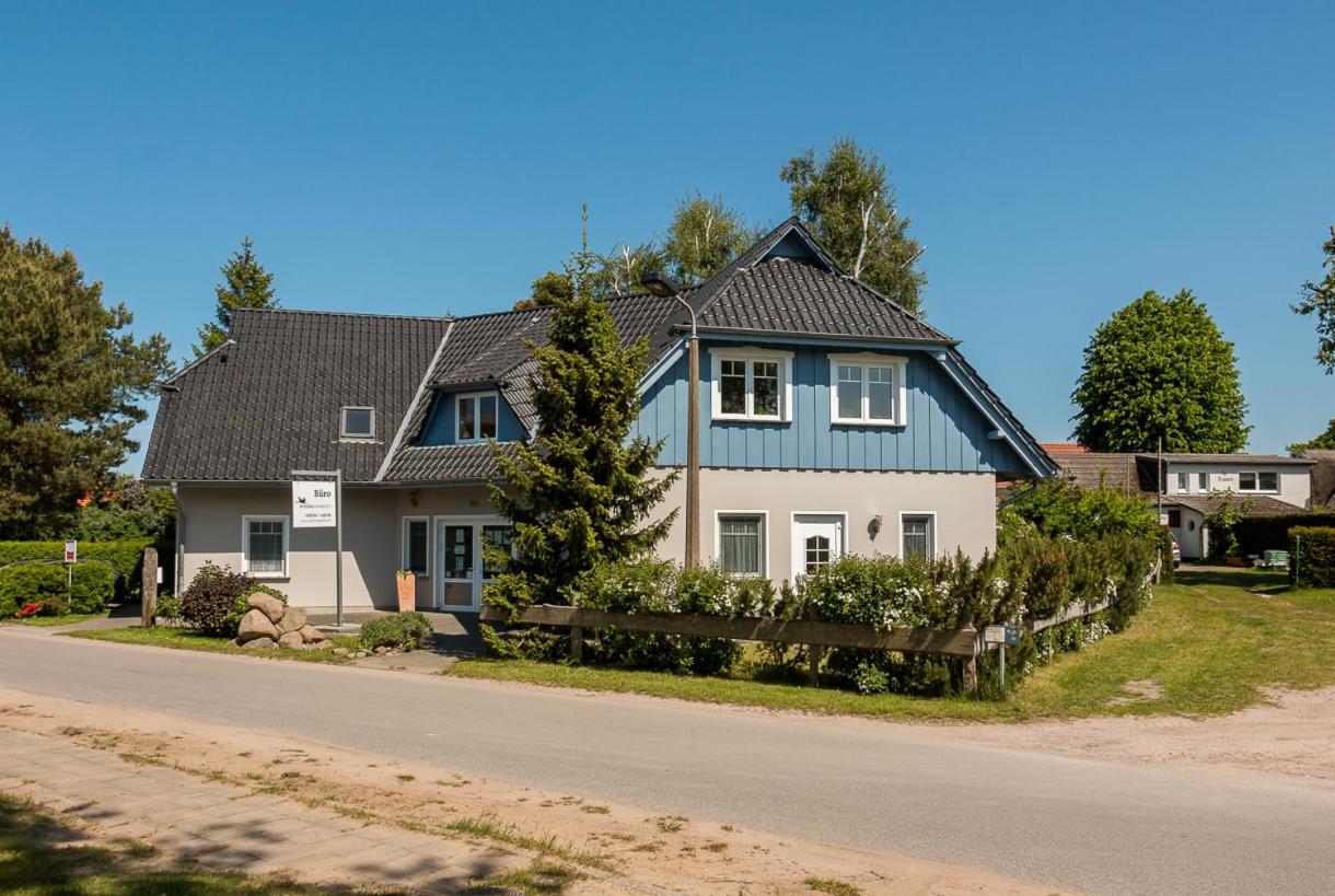 Апартаменты Haus Michel 01 Борн Экстерьер фото